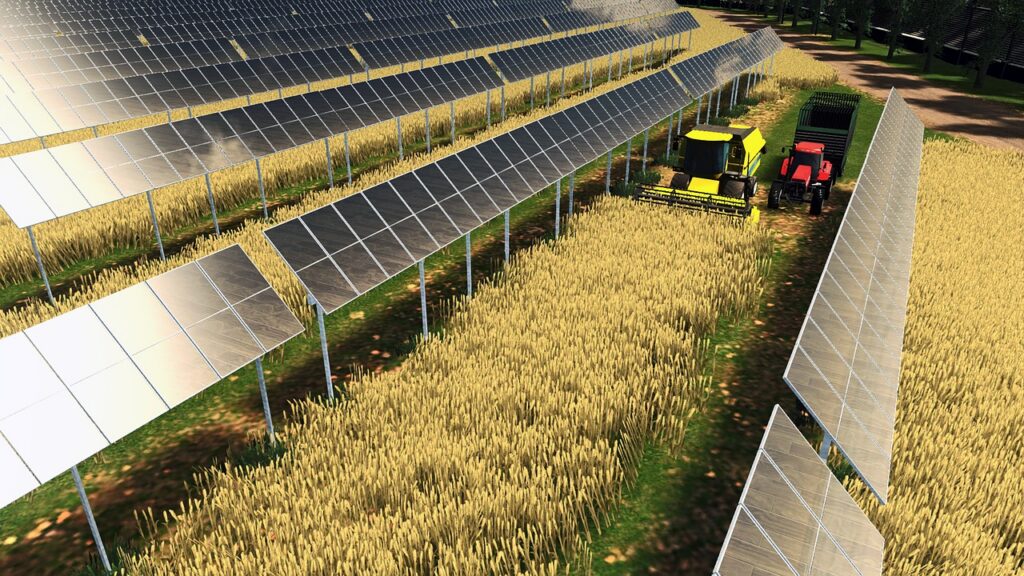 Agrivoltaica, soluția care combină agricultura cu energia solară. Cine câștigă din această tranziție?