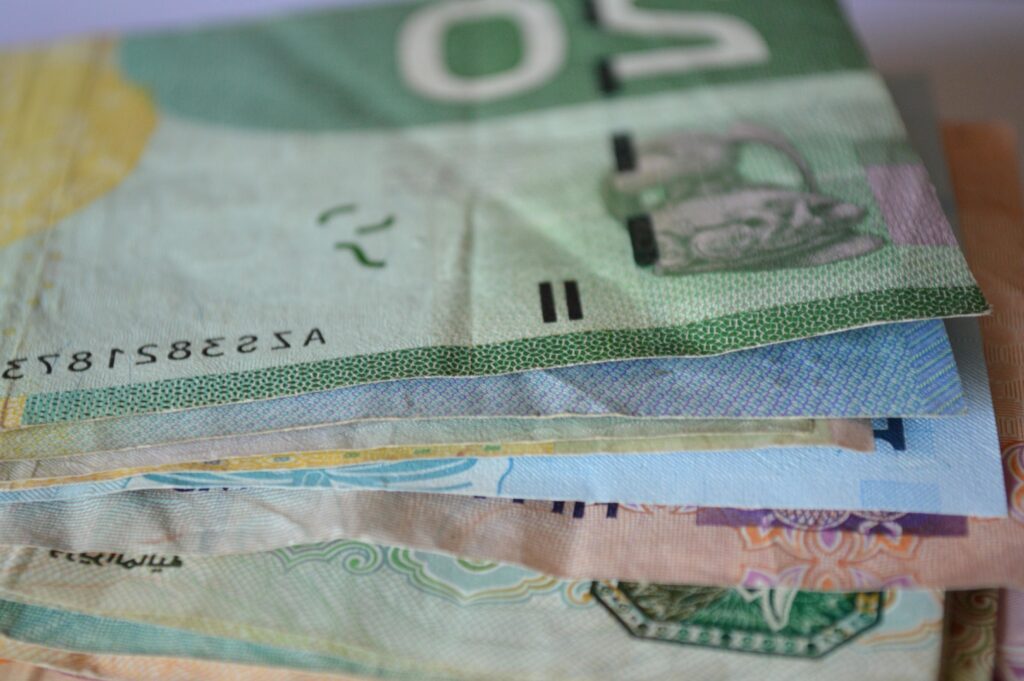 Leul ar putea pierde și mai mult teren în fața euro în 2027